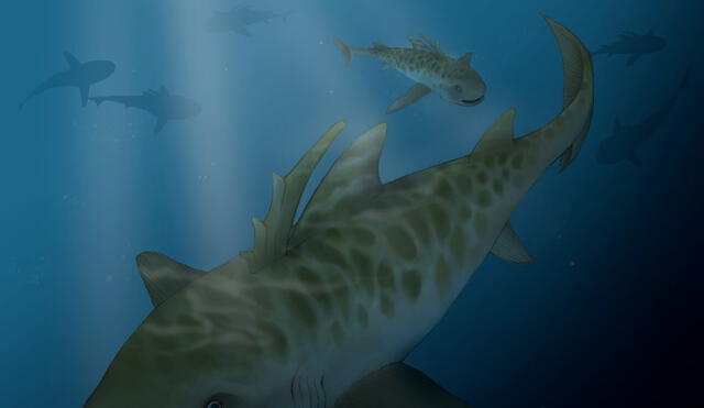 Hallan restos de tiburón de hace 400 millones de años cerca del lago Titicaca