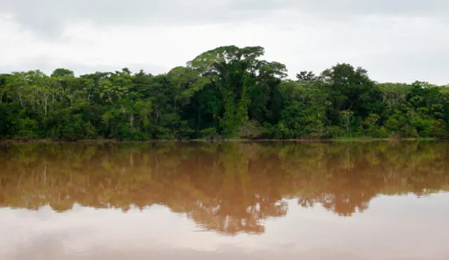 Senamhi advierte: ríos Amazonas, Marañón y Ucayali en alerta roja