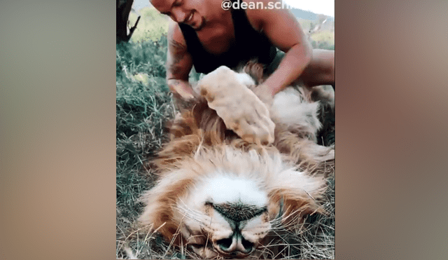 Desliza hacia la izquierda para ver la tierna escena de Facebook protagonizada por un cuidador de leones.