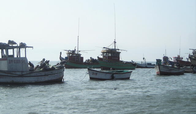 Pescadores artesanales de puerto Salaverry