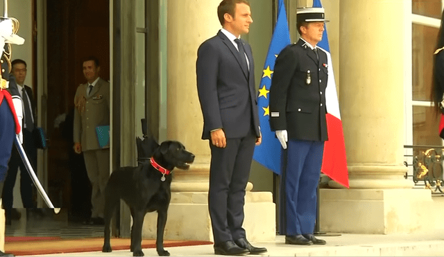 YouTube: Perro del presidente francés se orinó en plena reunión ministerial [VIDEO]