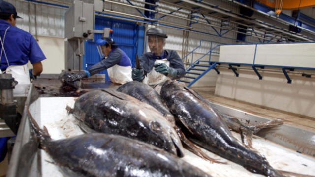 CPA: Consumo nacional de conservas de atún podría triplicarse a 7.5 millones de cajas 