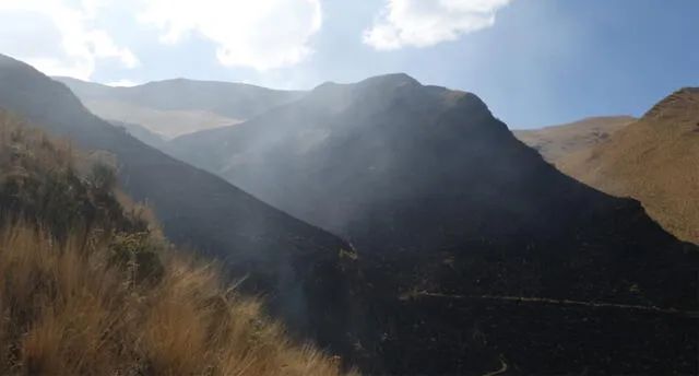 incendio forestal arrasa recursos naturales de Llamaqcancha