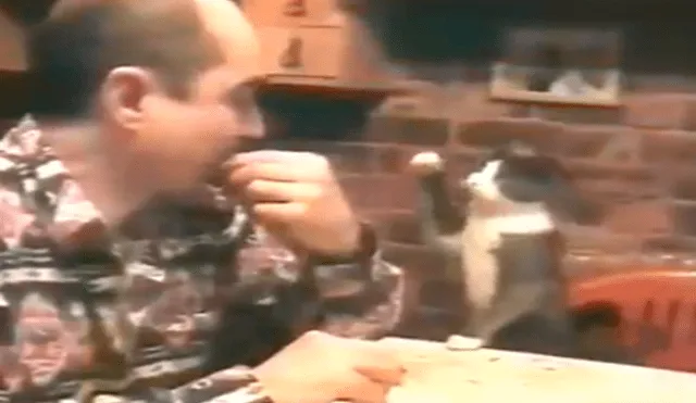 YouTube viral: Gato aprende lenguaje de señas para pedirle comida a su amo sordo 