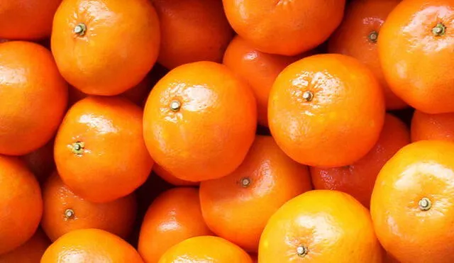 Camposol adquiere plantaciones de mandarinas en Uruguay
