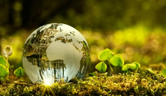 Frases para reflexionar por el Día Mundial del Medio Ambiente