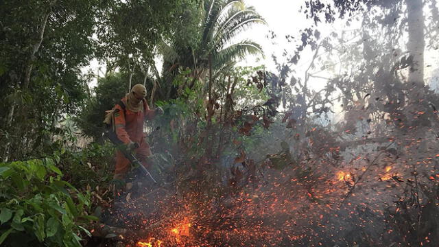 Salma Hayek sobre incendio en la Amazonía: “Participo en la reforestación”