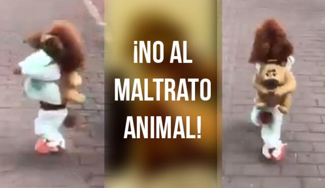 Facebook: perritos que caminan en dos patas esconden una historia de maltrato