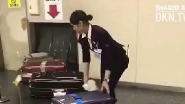 Facebook: el sorprendente cuidado que le dan a las maletas en un aeropuerto en Japón [VIDEO] 