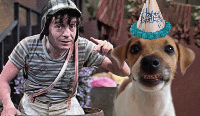 Facebook viral: fanático de 'Chespirito' organiza fiesta a su perro con temática de 'El Chavo del Ocho' [FOTOS]