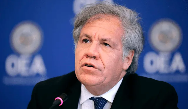 Secretario general de la OEA, Luis Almagro. Foto: AFP.