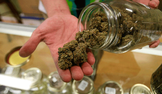 Cannabis medicinal: publican proyecto de reglamento de la ley que regula su uso 