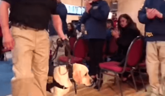 En YouTube, un grupo de policías realizó una conmovedora despedida a un perro que trabajo durante seis años.