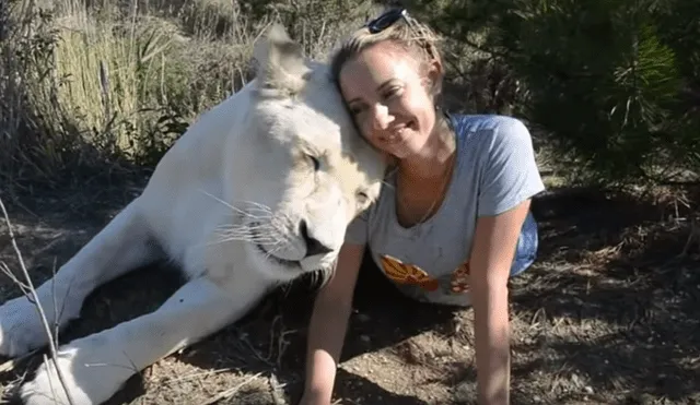 El video viral de YouTube muestra la reacción que tuvo una leona al toparse con una modelo hacía safari dentro de un peligroso campo de felinos.
