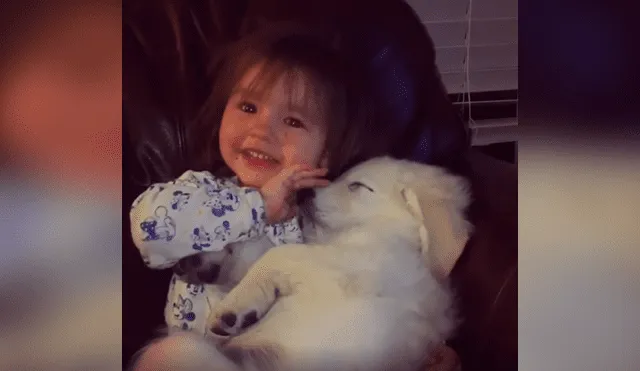 Desliza las imágenes para apreciar la amorosa escena que protagonizaron un perro junto a un pequeña.