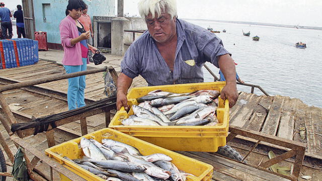 La Libertad: El año 2017 se formalizaron 370 pescadores artesanales 