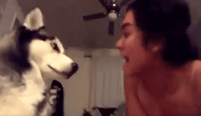Vía Facebook, quiso asustar a su perro, pero su reacción fue inesperado [VIDEO]