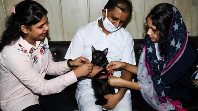 El medicamento es usado contra un coronavirus felino y según activistas podría ser efectivo contra el SARS-CoV-2. Foto: referencial / AFP