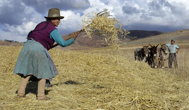 El desarrollo campesino es clave para acabar con el hambre en Latinoamérica