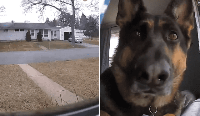 Mediante YouTube se compartió un video que muestra la divertida reacción de un perro al ver una cámara de seguridad en su casa.