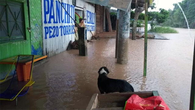 Pucallpa: calles lucen inundadas producto de intensas lluvias [FOTOS Y VIDEO]