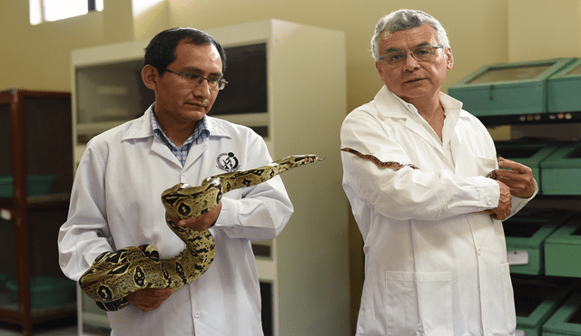 Instituto Nacional de Salud ofrece visitas educativas guiadas al museo de serpientes y arañas