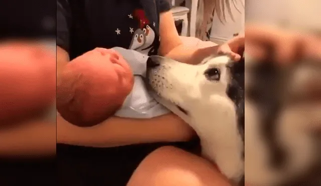 Vía Facebook. Los papás del bebé llamaron a su perro para presentarle al nuevo miembro de la familia y quedaron sorprendidos con la peculiar emotiva conducta del can