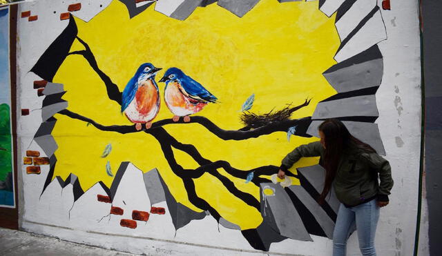 Murales con mensajes medio ambientales adornan el centro de Arequipa | FOTOGALERIA