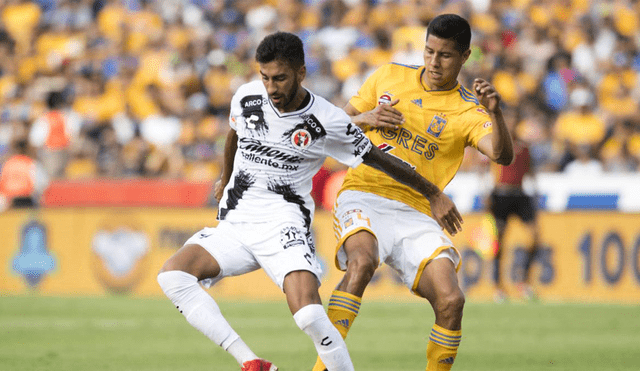 Tigres aplastó a 3-0 Tijuana por el Torneo Clausura 2019 de Liga MX
