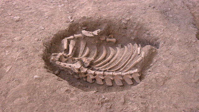 Cusco: Descubren dos entierros humanos de hace 3 mil años en Marcavalle [VIDEO]