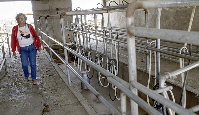 En quiebra. Ganadera Nordi Luna tendrá que vender parte de su ganado para afrontar deudas. Aquí en el centro de acopio lechero que estos días estuvo desolado por falta de producción.