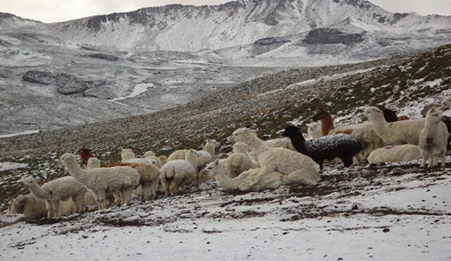 Huaraz:  Temperatura descenderá hasta en menos 3 grados