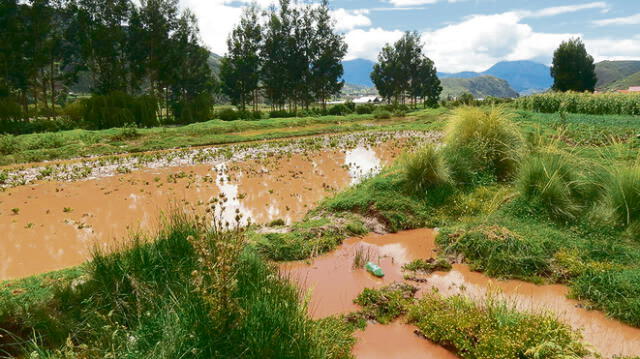 Lluvias dejan 4 familias damnificadas y cultivos dañados en el Cusco