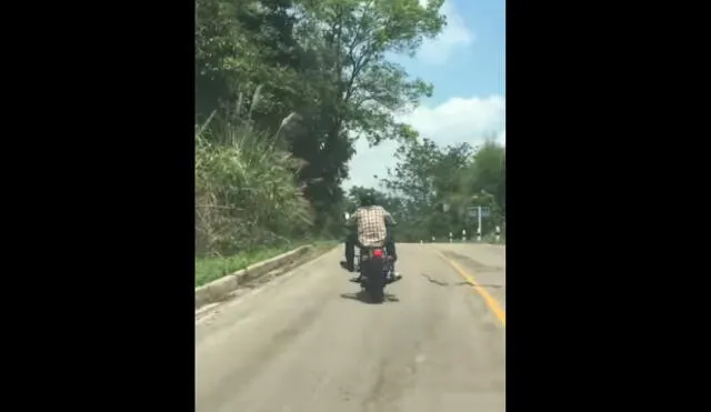 Sorprende en YouTube aparición de serpiente en pleno viaje de motocicleta [VIDEO]