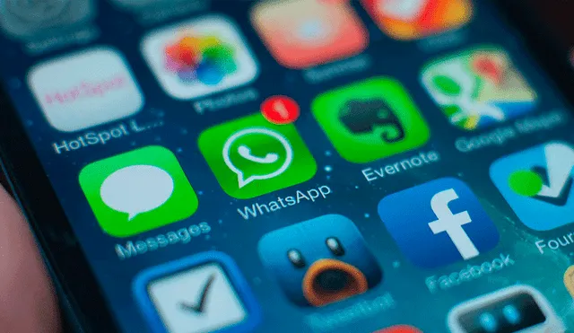 Whatsapp: Fácil solución para evitar que se llene tu memoria de forma automática