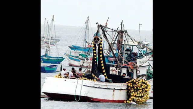 Empresas pesqueras cumplen normas ambientales en Paita