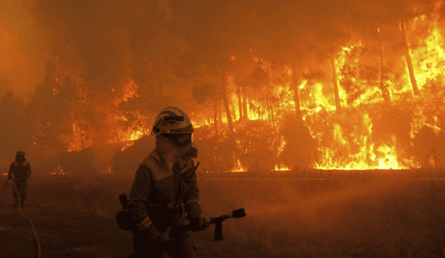 El Departamento Forestal y de Protección contra Incendios de California, informó sobre los hechos. Foto: EFE/referencial