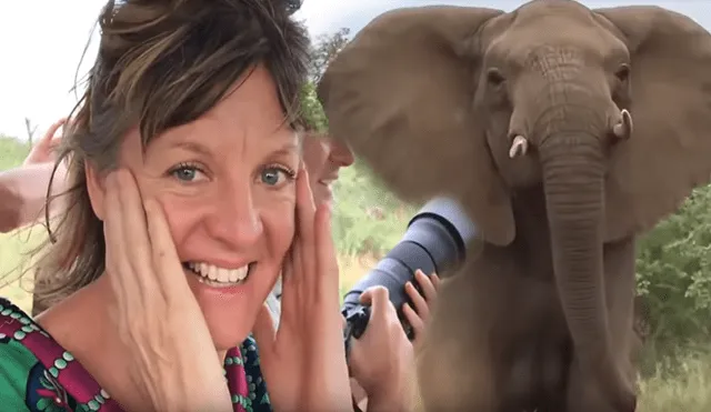 YouTube viral: turistas son sorprendidos por una agresiva manada de elefantes cuando hacían safari [VIDEO]