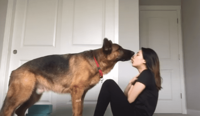 Video es viral en Facebook. Dueña del can compartió la singular forma en la que su mascota la ayuda a cumplir con su rutina de ejercicios durante la cuarentena.
