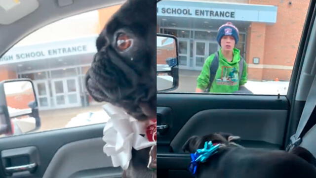 Vía YouTube: Mira el conmovedor reencuentro entre un niño y su mascota perdida. Foto: Captura.