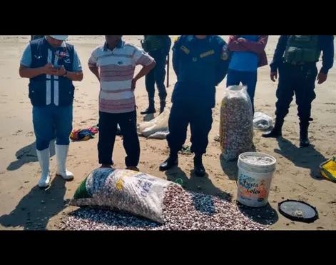Las autoridades sanitarias detectaron que los pescadores continuaron con la extracción de palabritas. Foto: Gobierno Regional de Lambayeque.