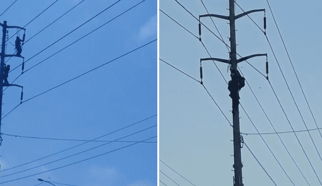 Trabajador de 40 años recibió fuerte descarga eléctrica en poste de alta tensión. Foto: Captura de video