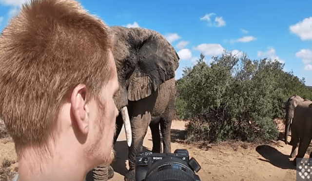 Desliza hacia la izquierda para ver algunas capturas del video viral de YouTube que muestra el increíble encuentro de una manada de elefantes con un turista.