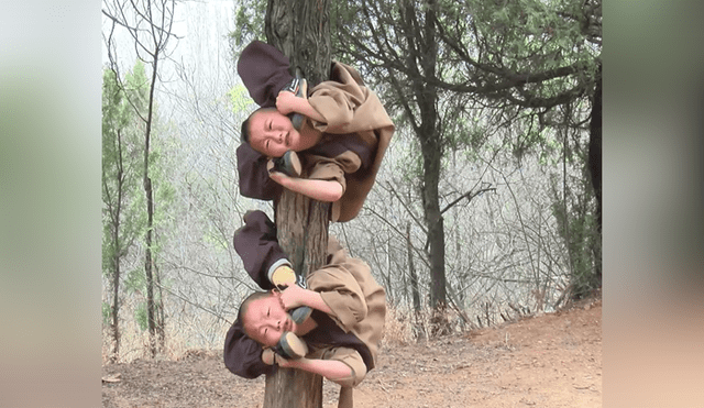 Facebook viral: niños se someten a exhaustas practicas de Kung- Fu para convertirse en monjes Shaolin  [VIDEO] 