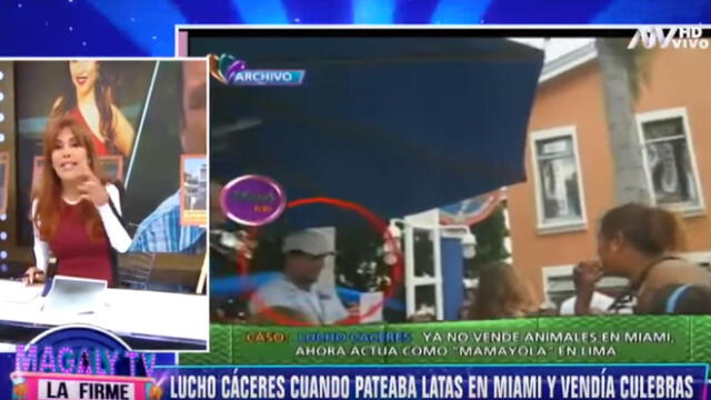 ¿Magaly Medina atacó a Lucho Cáceres por Gisela?: "Fue vendedor de culebras”