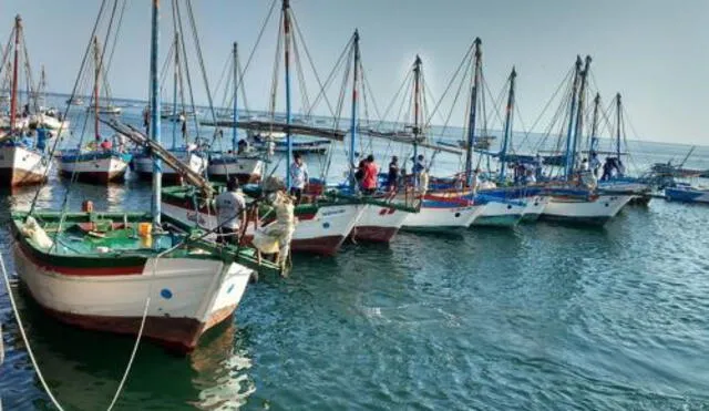 Piura: declaran patrimonio la pesca con velero artesanal
