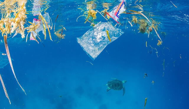 Grandes parches de basura surcan los océanos sin que nadie haga nada | Foto:  STEVE DE NEEF, NATIONAL GEOGRAPHIC CREATIVE