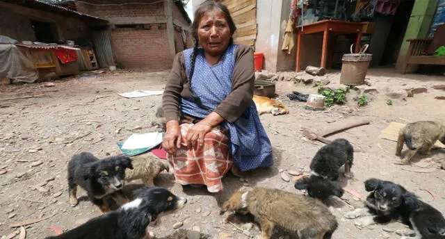 Ella vive de la caridad de sus vecinos del distrito de San Sebastián en Cusco. Foto: Sequeiros Juan Carlos-Perú21