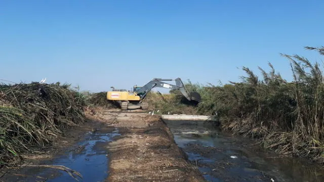 Limpieza del dren 3400 en Lambayeque