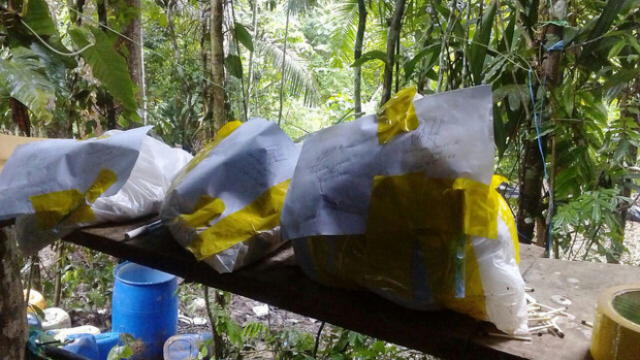 Cusco: destruyen tres laboratorios de pasta básica de cocaína en el Vraem